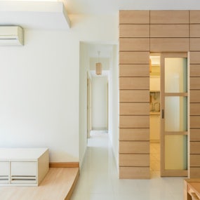 Evolve Pocket Door Pro (for single and bi-parting doors)